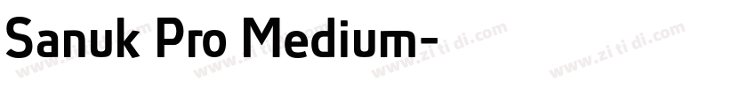 Sanuk Pro Medium字体转换